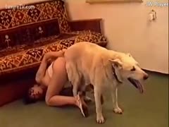In this clip from the Beastiality movie, a filthy old skank is stuffed with a savage jock.